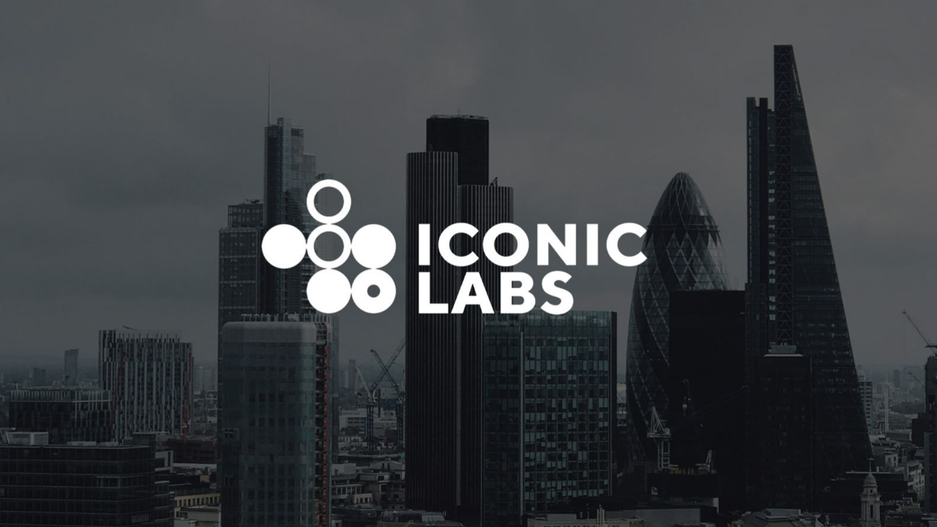 Investor Meet Company